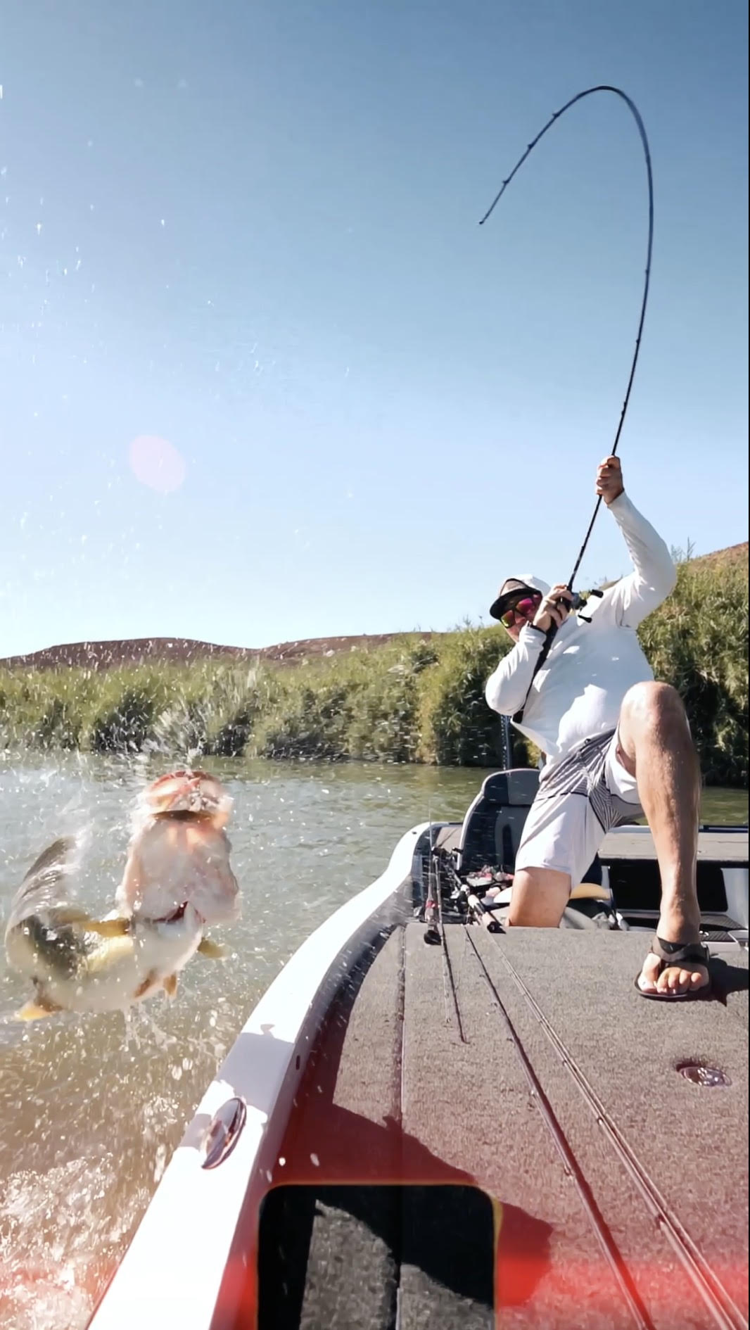 Angler setting the hook as a bass jumps beside the boat