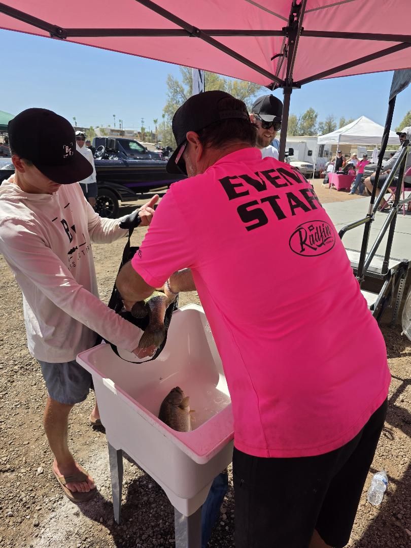 Event staff bagging fish at the weigh tub under a pink canopy